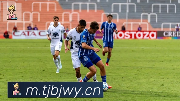 爱游戏网页版荣誉