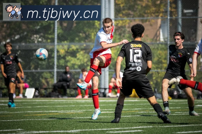 爱游戏网页版荣誉