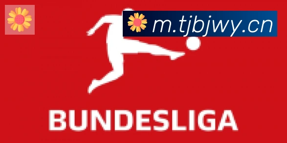 爱游戏网页版合作伙伴