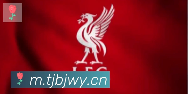 爱游戏网页版合作伙伴